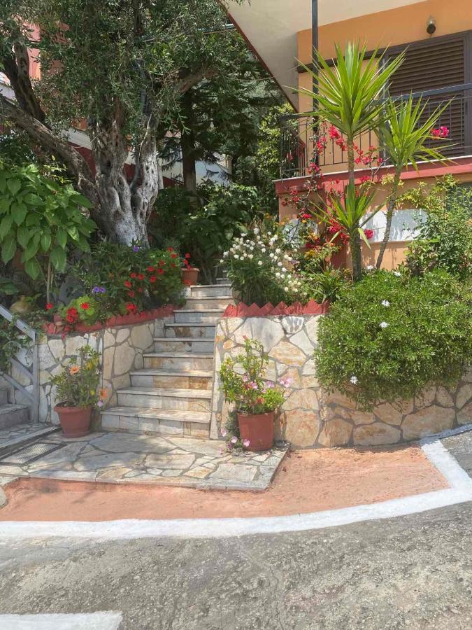 Vasiliki See View Apartments Barbati Exterior foto