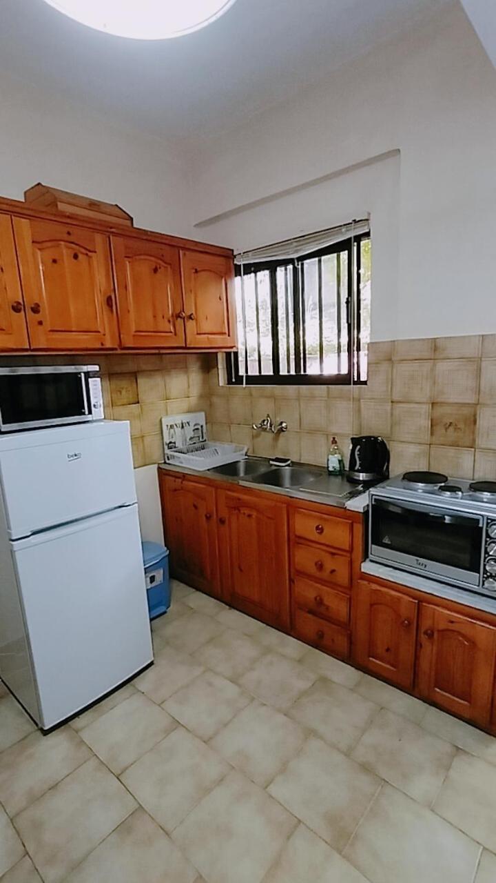 Vasiliki See View Apartments Barbati Exterior foto